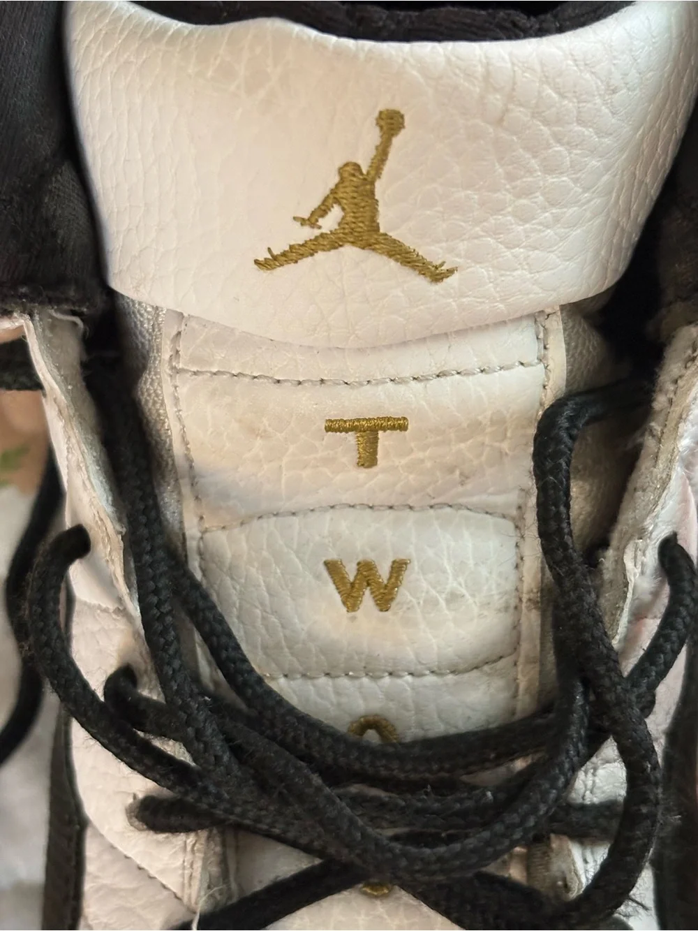 Air Jordan 12 Retro 